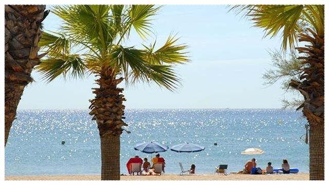 Appartement Climatise A 800M De La Plage Frejus Bagian luar foto